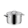 WMF Kochtöpfe|Induktionstöpfe|Aparto Kochtopf mit Deckel, 20 cm