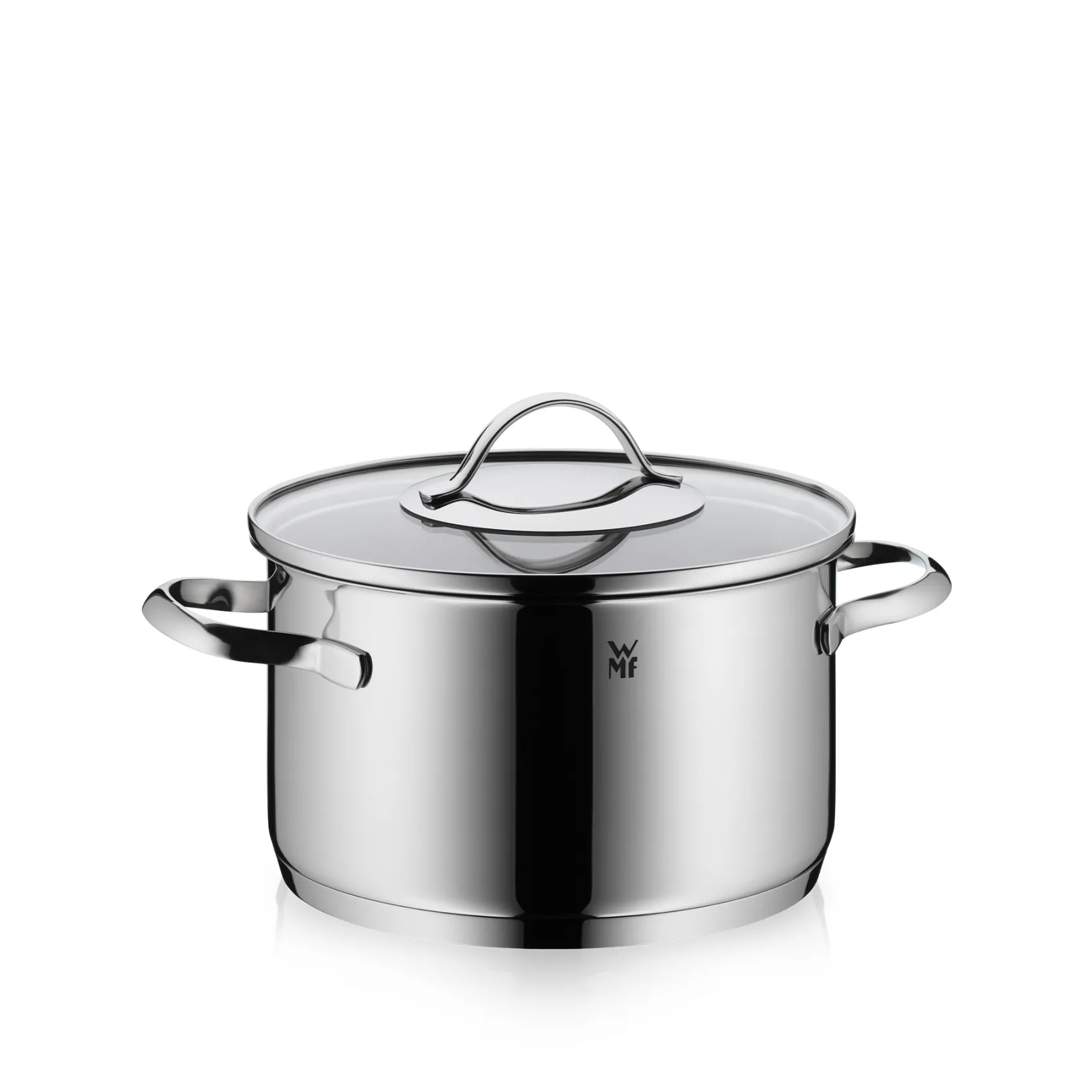 WMF Kochtöpfe|Induktionstöpfe|Aparto Kochtopf mit Deckel, 20 cm