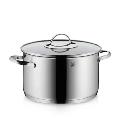 WMF Kochtöpfe|Induktionstöpfe|Aparto Kochtopf mit Deckel, 24 cm