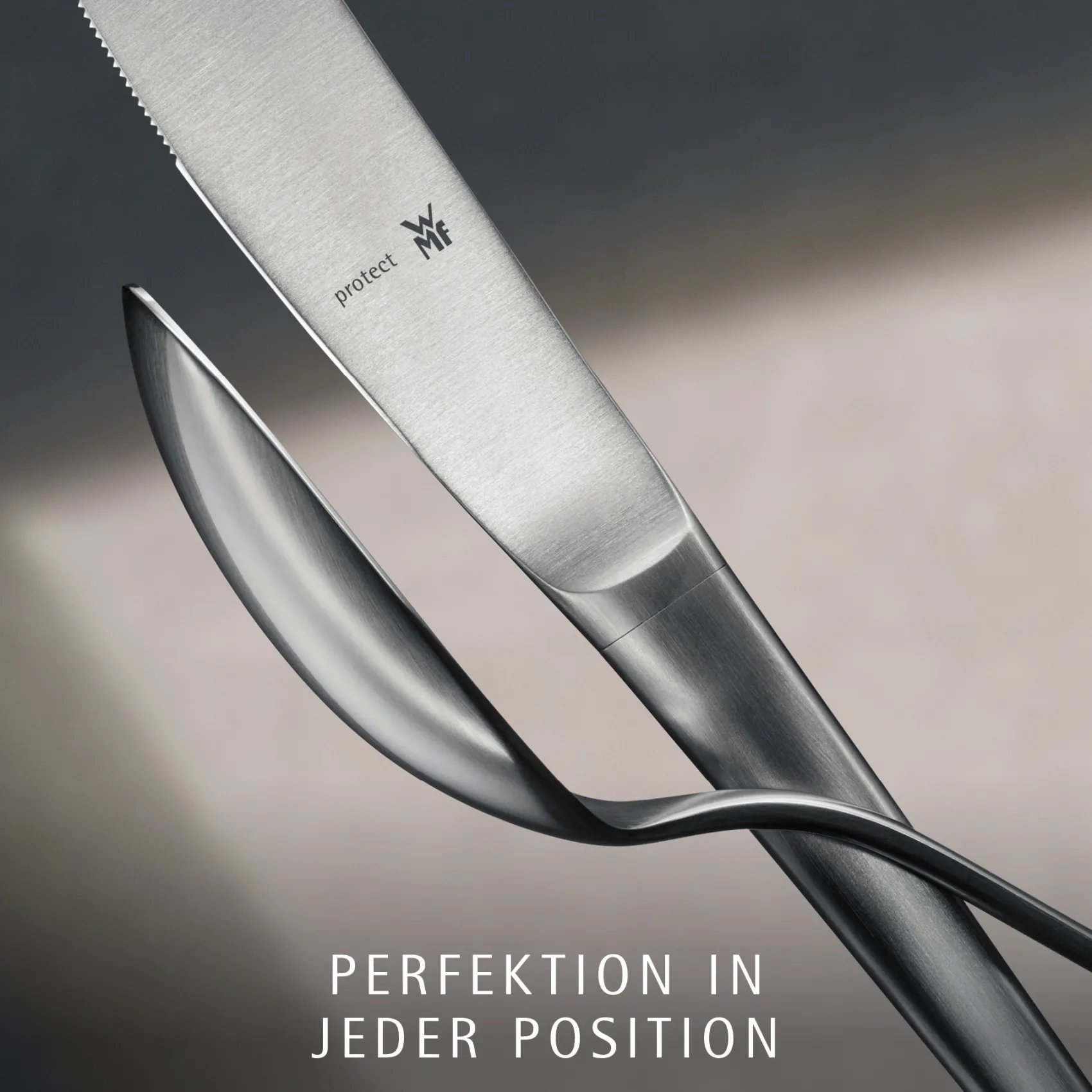 WMF Besteck-Sets|Corvo Besteck-Set, 66-teilig, Cromargan protect®