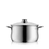WMF Kochtöpfe|Induktionstöpfe|Diadem Plus Kochtopf mit Deckel, 20 cm