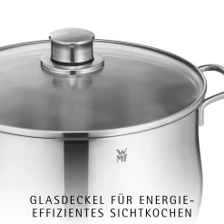 WMF Induktionstöpfe|Kochtöpfe|Diadem Plus Kochtopf mit Deckel, 24 cm