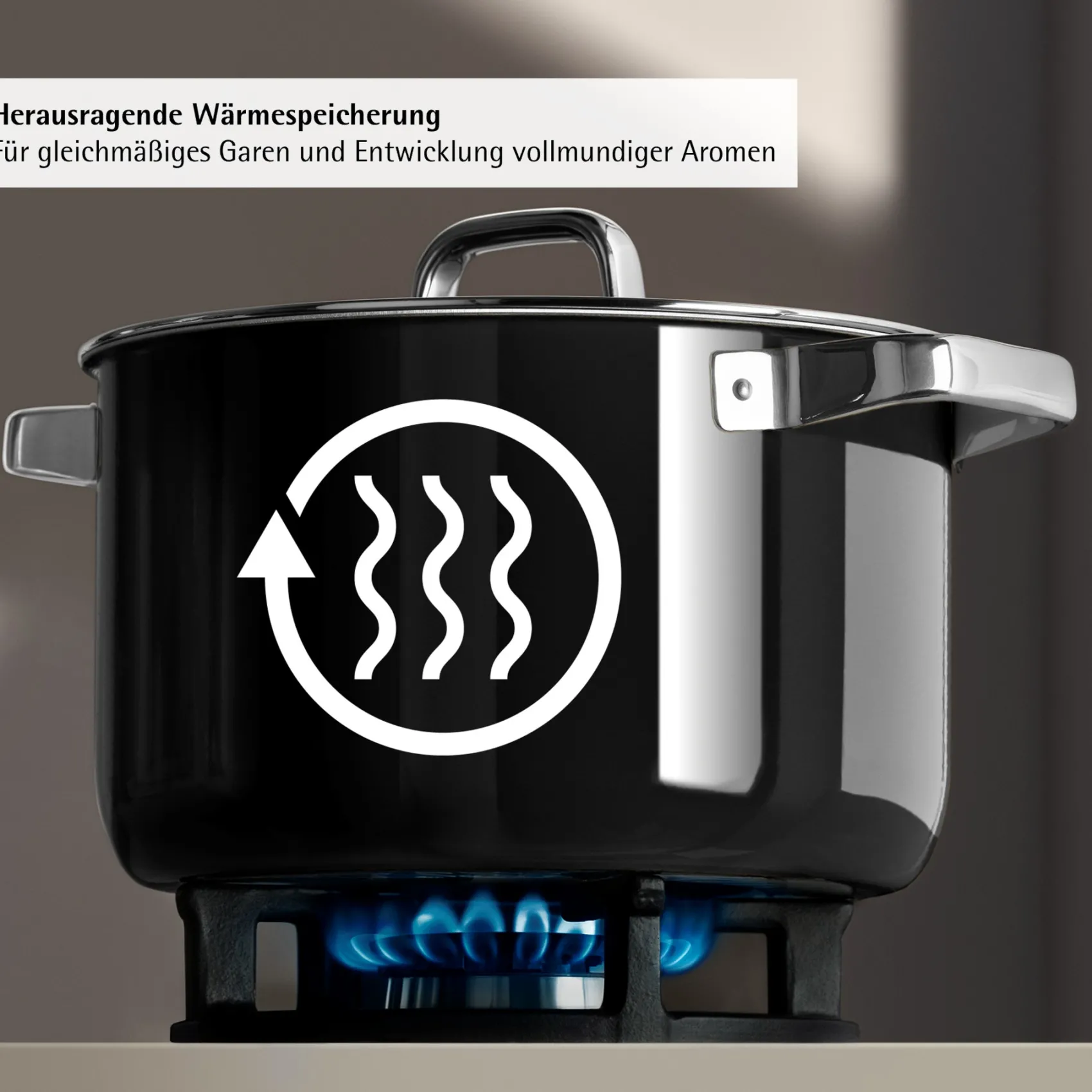 WMF Bratentöpfe|Fusiontec Mineral Pro, Bratentopf mit Deckel, 20 cm, Black