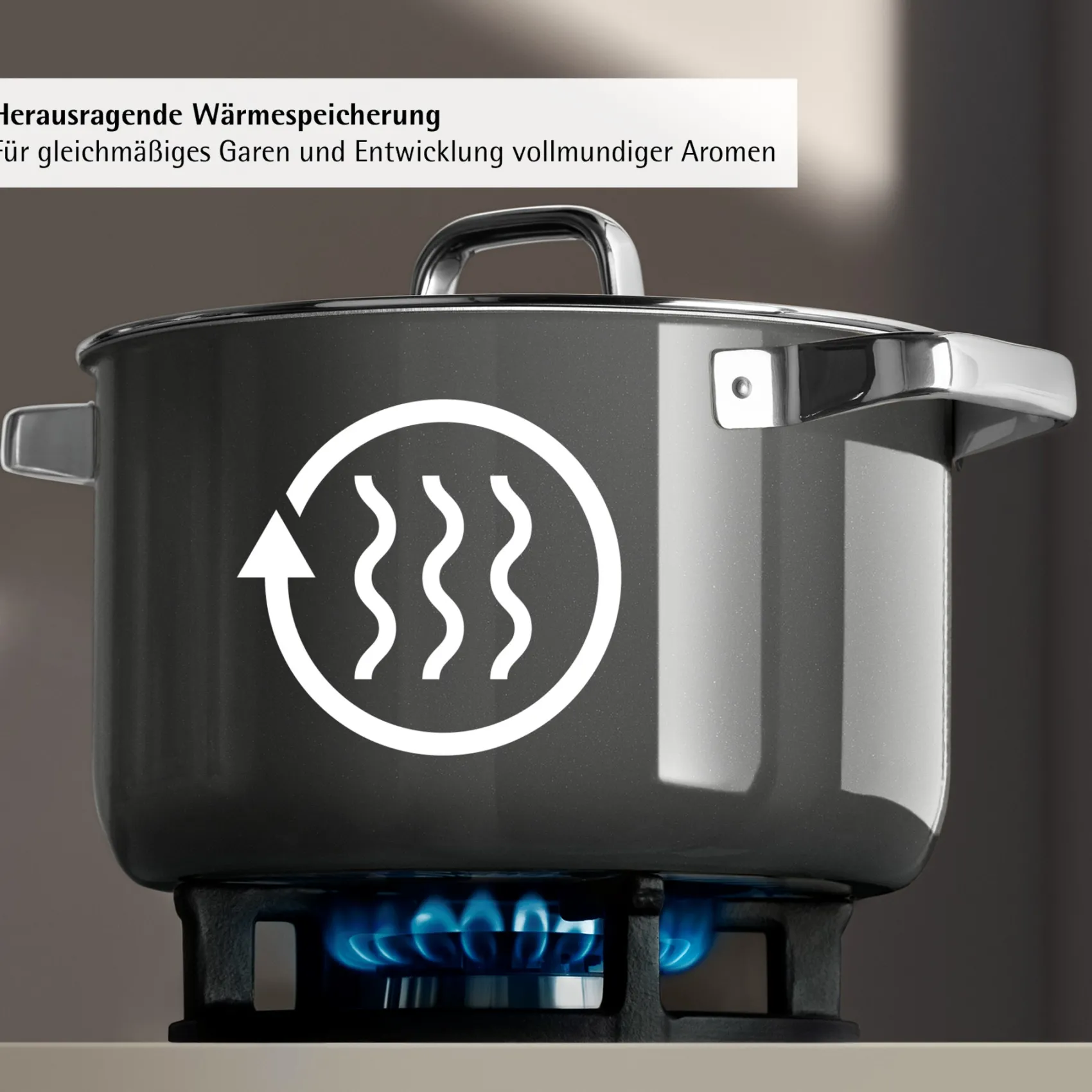 WMF Kochtöpfe|Induktionstöpfe|Fusiontec Mineral Pro, Kochtopf mit Deckel, 24 cm, Platinum