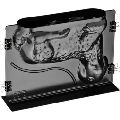 WMF Backformen|KAISER 3D Vollbackform Lamm 1,75 l