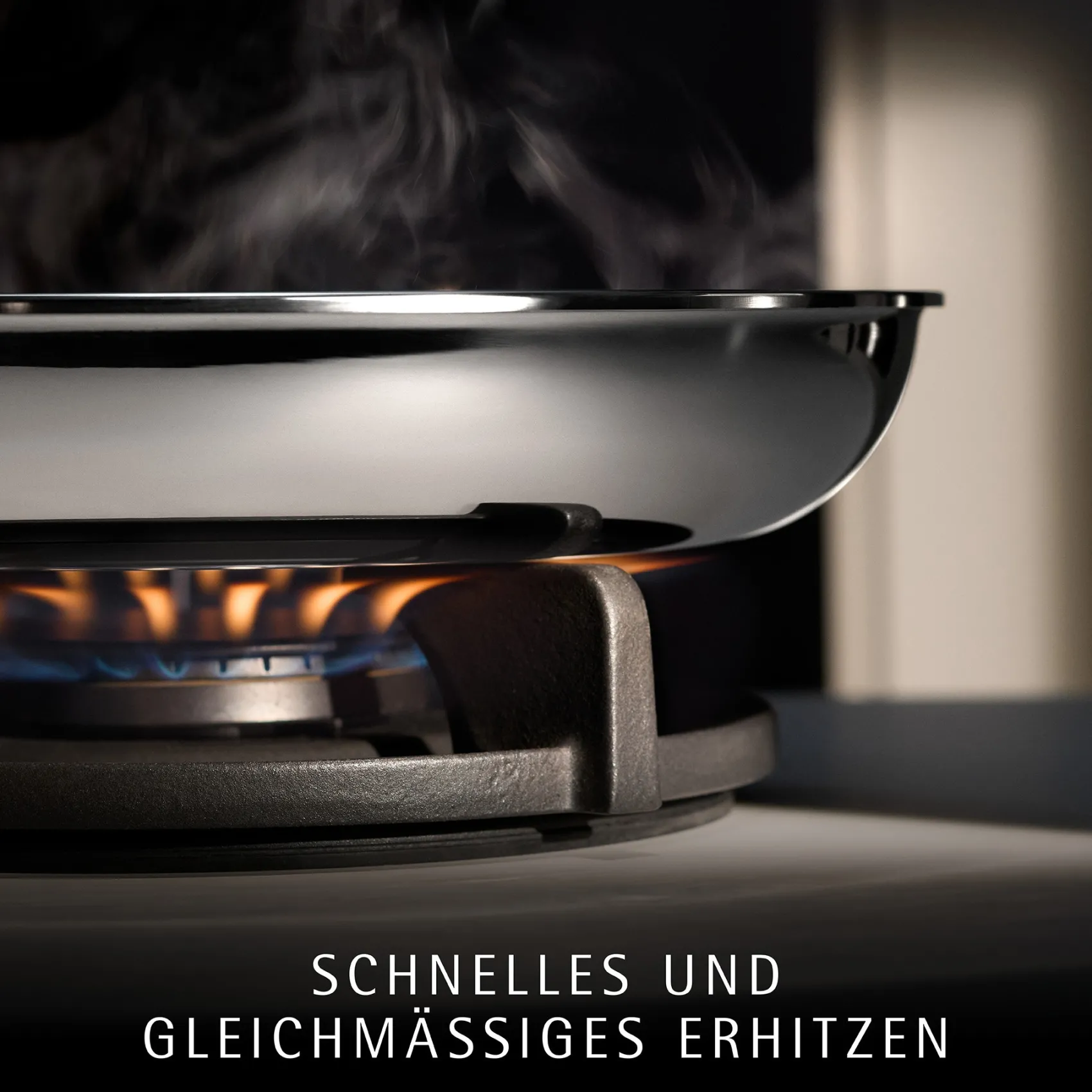 WMF Servierpfannen|Induktionspfannen|Profi Resist Servierpfanne, 24 cm