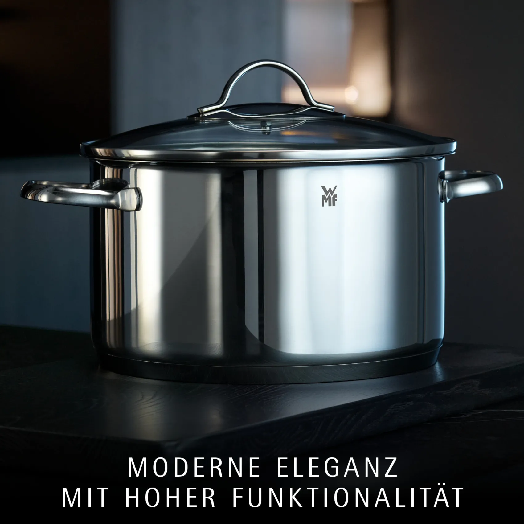 WMF Bratentöpfe|Provence Plus Bratentopf mit Deckel, 24 cm