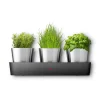 WMF Kräutergarten|Silit Collexio Indoor Kräutergarten, 3-teilig