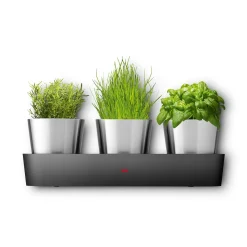 WMF Kräutergarten|Silit Collexio Indoor Kräutergarten, 3-teilig