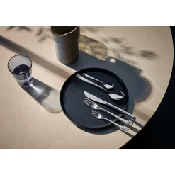 WMF Besteck-Sets|Vision Fischbesteck-Set, 12-teilig, Cromargan protect®